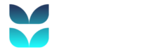 sdtseguros.cl